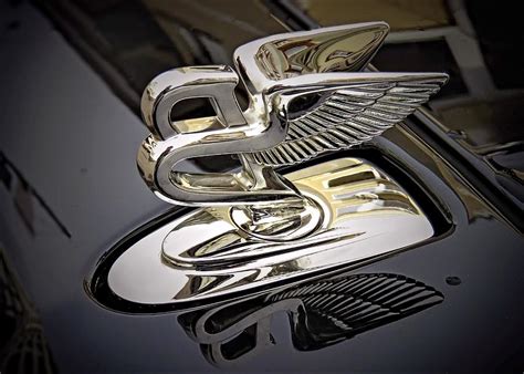 Bentley Emblem Cool Figure Flying B Bentley British Car Brand Mixed Media by Bentley Emblem ...