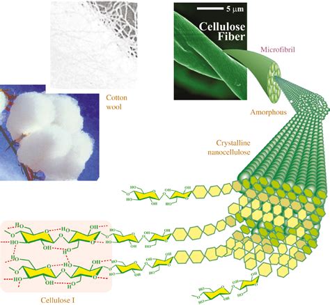 Dimensionally stable cellulosic aerogels functionalized by titania