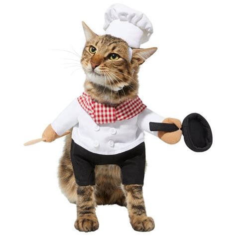 Reader's Digest | 36 Best Cat Halloween Costumes for 2021