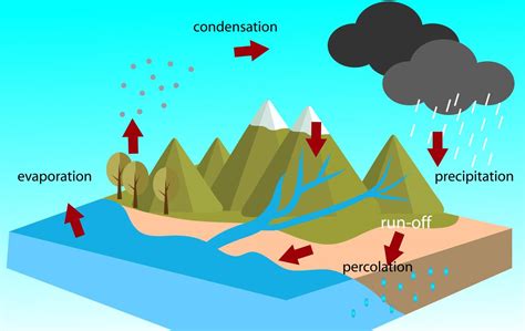 A Simple Guide to the Steps of the Water Cycle - Science Struck