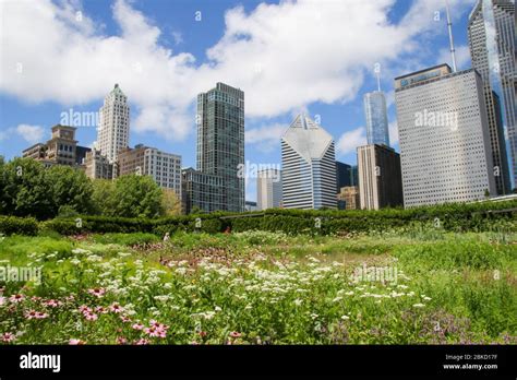 Millennium Park, Chicago Stock Photo - Alamy