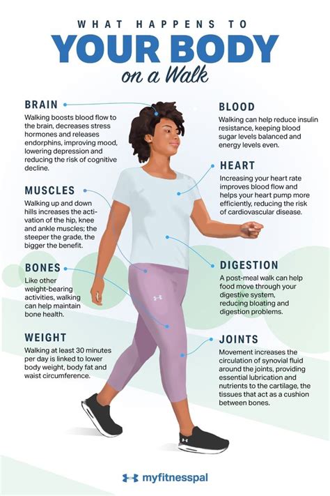 This Is What Happens to Your Body on a Walk | Walking for health, Exercise, Benefits of walking