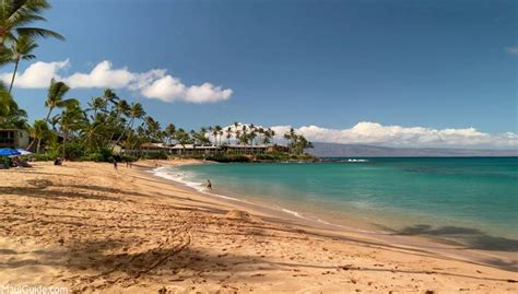 Napili Bay Beach Review - Maui Beaches - Maui Guide