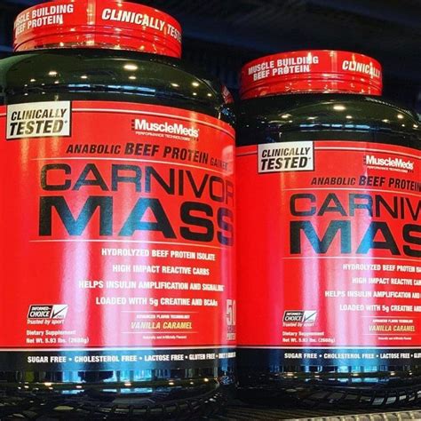 Carnivor Beef Protein Powder Review - Is It Worth The Cost?