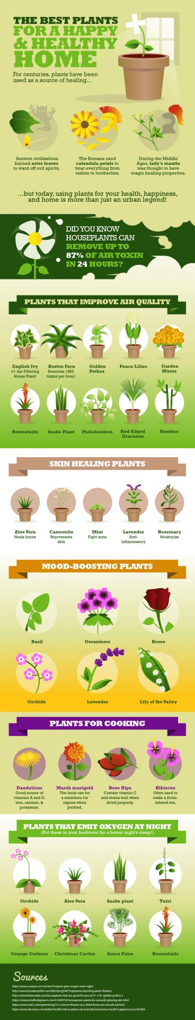 The Best Plants for a Happy and Healthy Home - Apartment Prepper