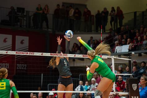 WSU volleyball: by the numbers – The Daily Evergreen