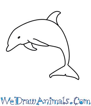 How To Draw A Dolphin