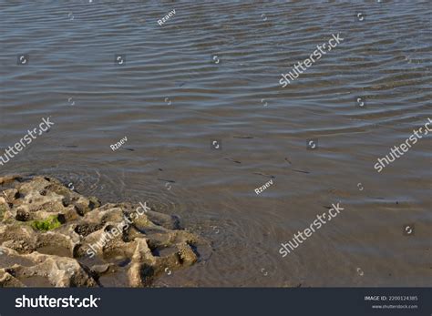 Baku Beaches Caspian Sea Stock Photo 2200124385 | Shutterstock