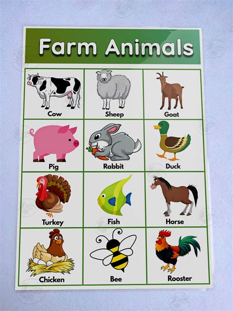 Farm Animals Laminated Educational Chart (A4) Mga Hayop sa Bukid Wall ...