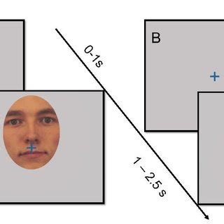 Overview of the experiment. In 50% of trials (A), a fixation cross ...