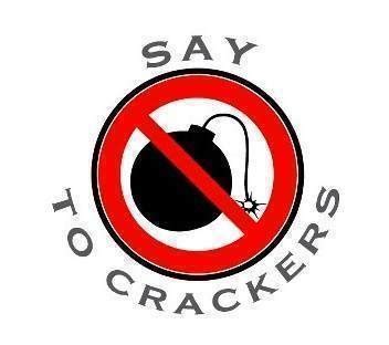 Petition · Say No To Crackers - Rotaract Club of Bombay Juhu Beach ...