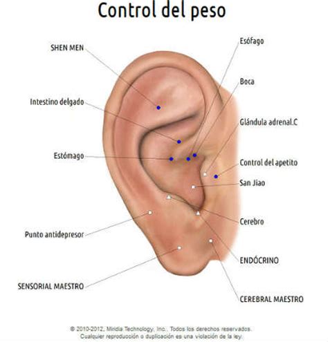 Acupuntura para adelgazar【PUNTOS Y BENEFICIOS】