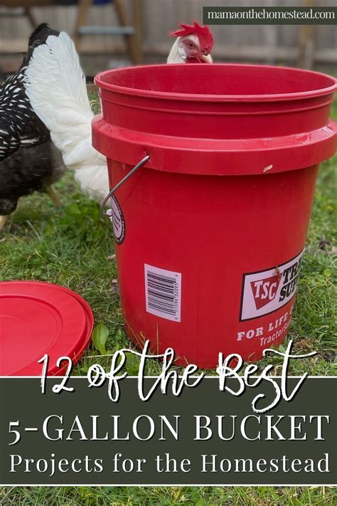 12 5-Gallon Bucket Projects for the Homestead - Mama on the Homestead