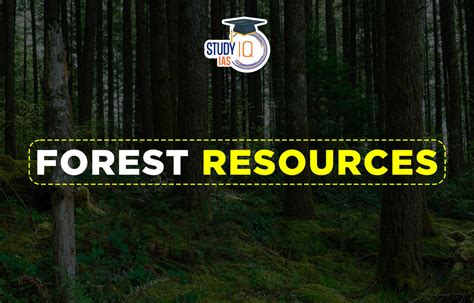 Forest Resources in India, Types, Significance, Uses