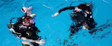 What Qualifications Do You Need To Be A Diving Instructor? - XploreDive