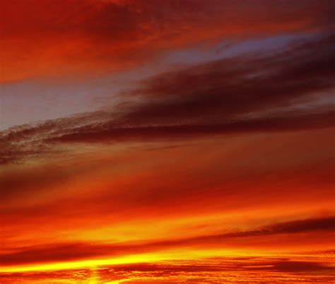 Free Images : grass, silhouette, cloud, sky, sunset, sunlight, morning, cute, fly, standing ...