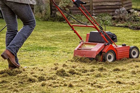 Power Raking Service in Calgary - Lawn Lovers