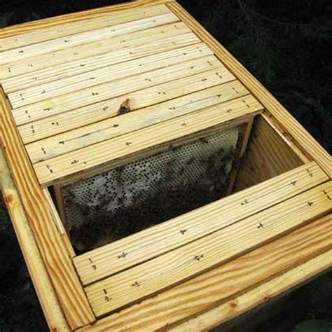 How to Build a Better Bee Hive, Step-by-Step – Mother Earth News | Bee hive plans, Bee hives diy ...