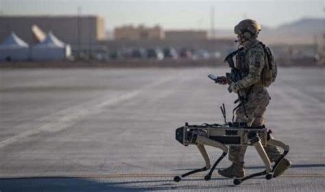 US Air Force: 'Unstoppable' Army trials AI robot dogs to defend bases - ‘Next-gen warfare’ - Big ...