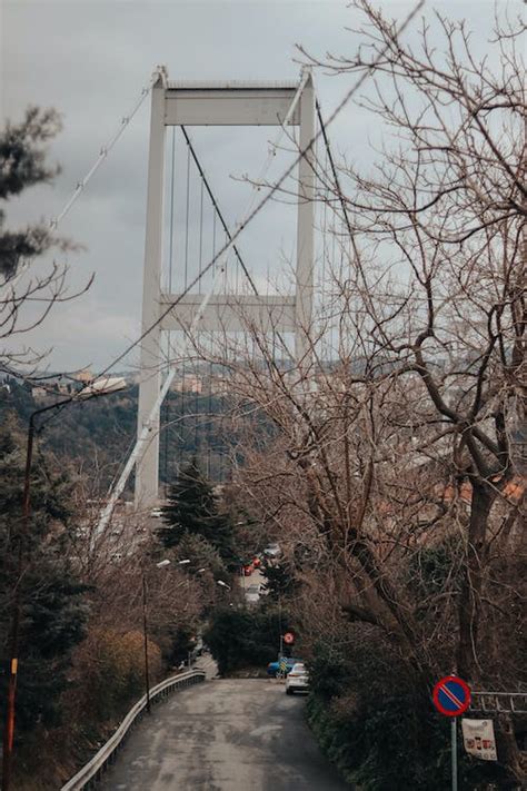 Photo of a Bridge in Winter · Free Stock Photo