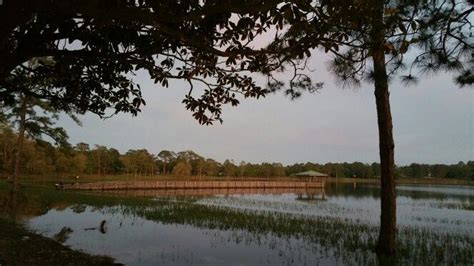 DEFUNIAK SPRINGS FLORIDA LAKE | Defuniak springs florida, Defuniak springs, Country roads