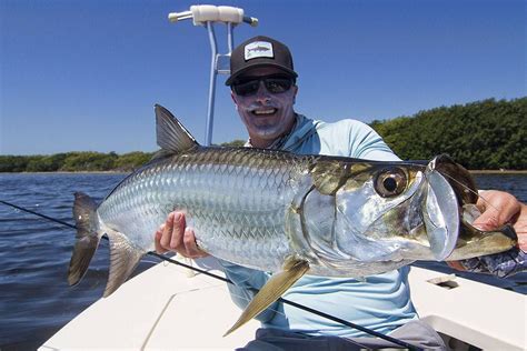 Tarpon Flying in Marathon, FL | Skiff Life - Fishing & Boating Articles ...