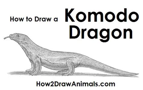 How to Draw a Komodo Dragon