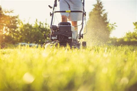 5 Types of Lawn Mower Blades Explained (With Pictures) | House Grail