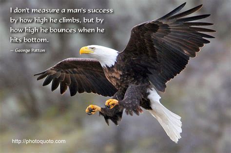 Eagle Quotes And Sayings. QuotesGram