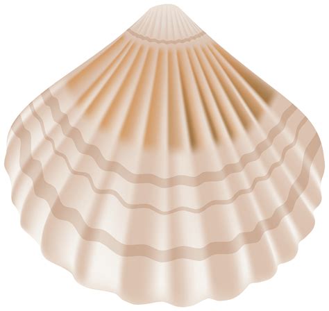 sea shell png 10 free Cliparts | Download images on Clipground 2024