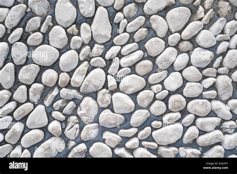 White pebble stone cemented floor, texture background Stock Photo - Alamy