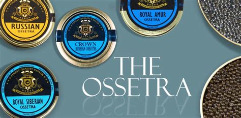 All about Osetra Caviar: Classic and Elegant