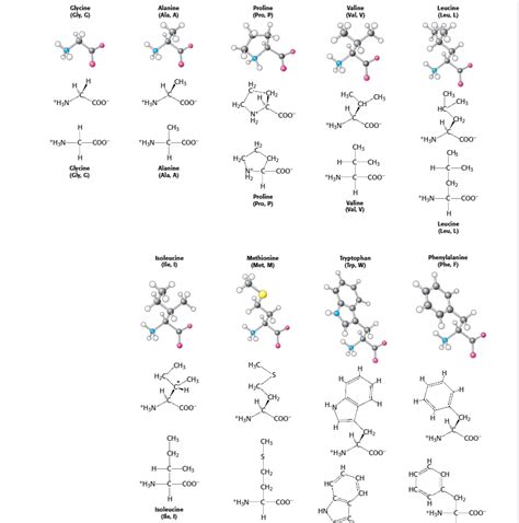 biochemistry - Correct way of drawing D-configuration with this ...