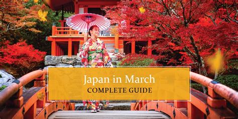 Japan in March 2025: A Guide For Everything To Know!