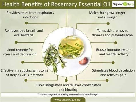 Pin by Nalani NIETO-JOHNSON on healthy living | Essential oils rosemary, Essential oils, Coconut ...