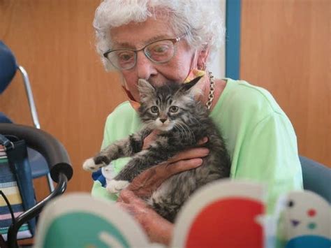 Humane society volunteer celebrates 100 years, and decades caring for ...