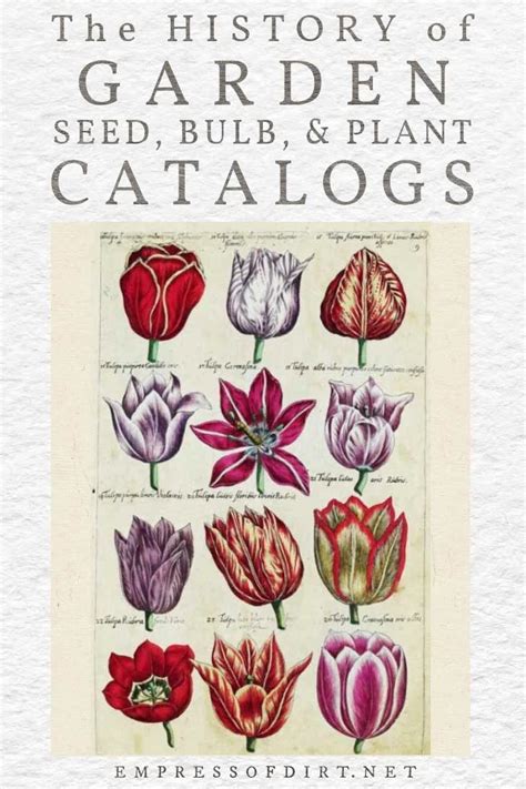 The History of Seed & Nursery Catalogs for Gardeners — Empress of Dirt