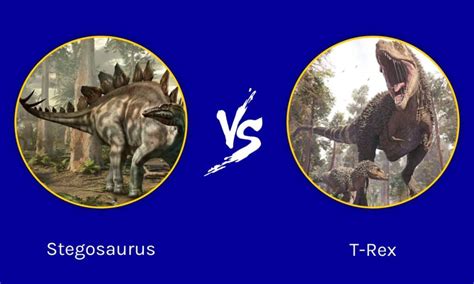 Stegosaurus vs T-Rex: Who Would Win a Fight? - IMP WORLD