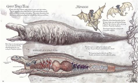 Space Slug and Mynocks Creature Artwork, Creature Drawings, Creature ...