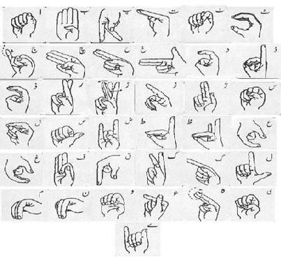 The complete PSL alphabets. | Download Scientific Diagram