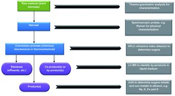 Analytical techniques for the chemical analysis of plant biomass and biomass products ...