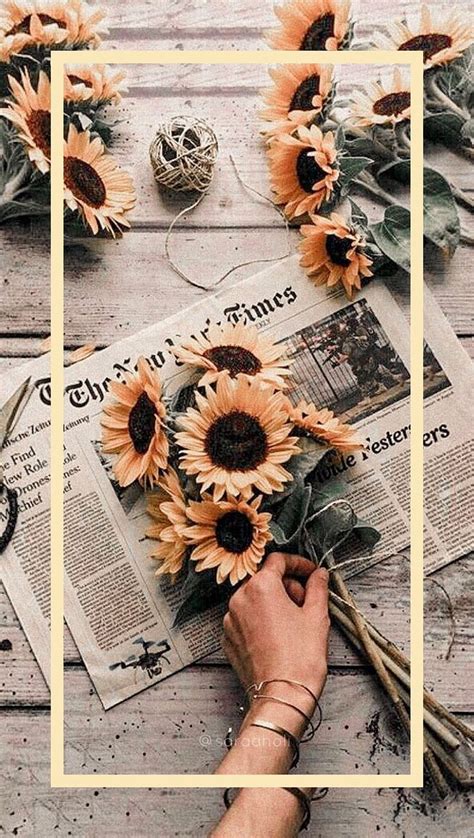 Aesthetic Flowers Yellow | Best Flower Site