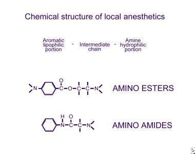 Image result for chemical structure of amide local anesthetics ...