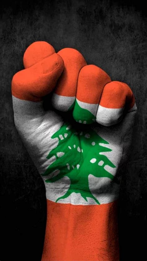 A nice wallpaper posted by georgekev on zedge : r/lebanon