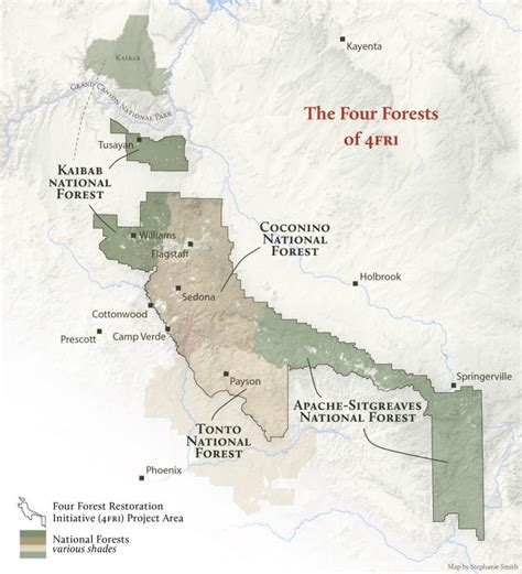 Arizona Forests - Four Forest Restoration Initiative | Grand Canyon Trust