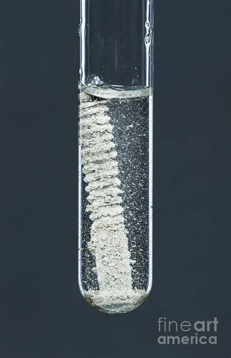 Zinc Reacting With Silver Nitrate, 2 Photograph by GIPhotoStock