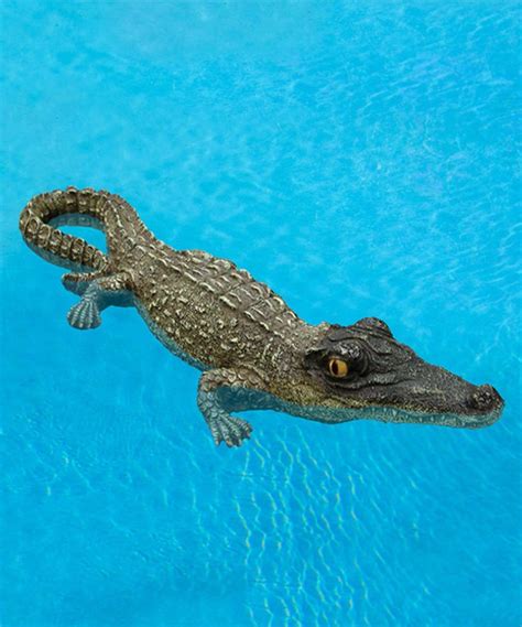 Love this Alligator Inflatable Pool Toy by Poolmaster on #zulily! #zulilyfinds | Inflatable pool ...