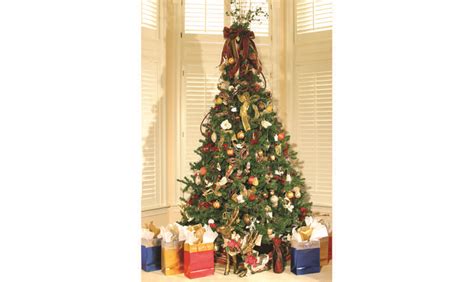 Christmas tree cutting permits available now - Lassen News