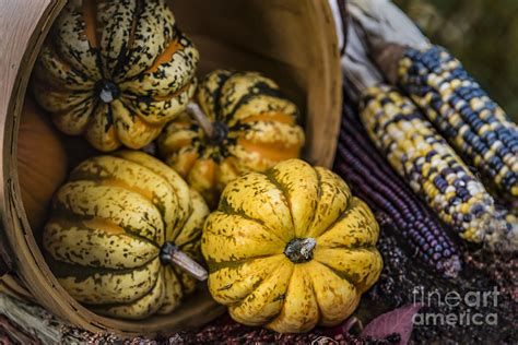 Autumn Thanksgiving Harvest Basket Overflowing Photograph by Alissa ...