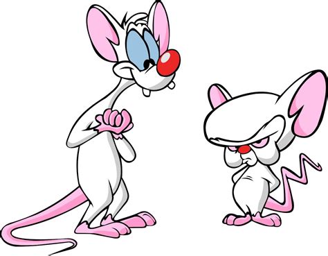 Image result for pinky and the brain | My childhood memories, Pinky, Looney tunes